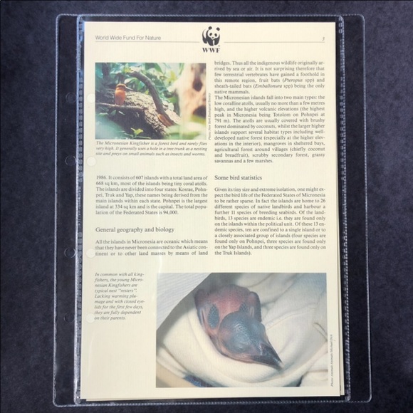 STAMPS Birds of Micronesia rare misprint! - Picture 7 of 15